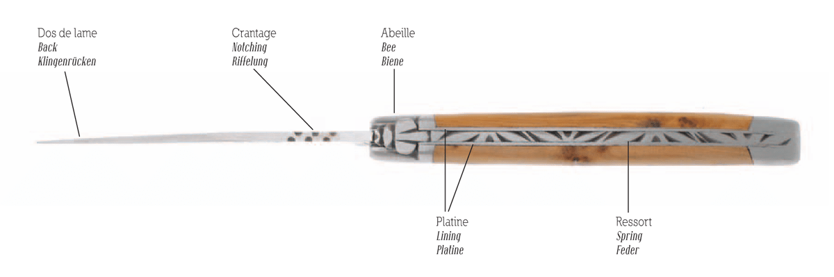 Vocabulaire technique - Vue de dessus